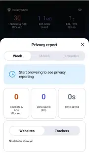 Brave Browser screenshot 2