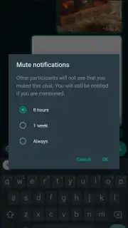 WhatsApp Messenger screenshot 11