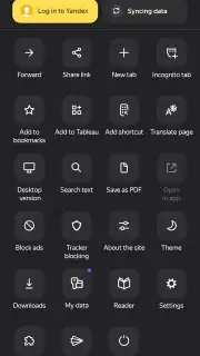 Yandex Browser screenshot 10