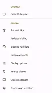 Phone by Google screenshot 10
