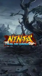 Ninja screenshot 1