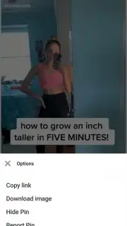 Pinterest screenshot 7