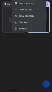 Vivaldi screenshot 2