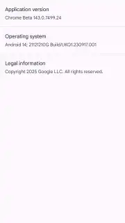 Chrome Beta screenshot 23