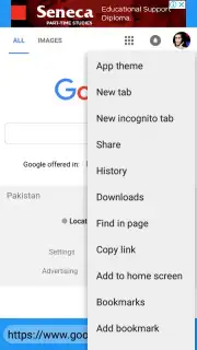 Masti browser screenshot 1