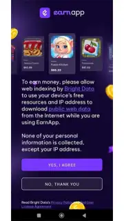 Earnapp screenshot 2