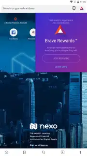 Brave Nightly (devs & testers) screenshot 5