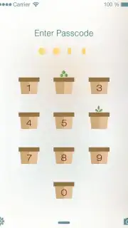 PIP Lock Screen screenshot 4