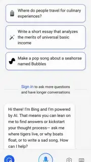 Microsoft Copilot screenshot 4