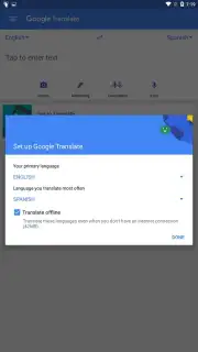 Google Translate screenshot 16