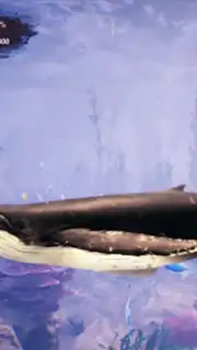 The Humpback Whales screenshot 13