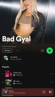 Spotify screenshot 5
