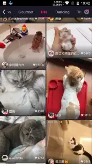 Meipai screenshot 10