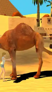 Camel Simulator screenshot 6