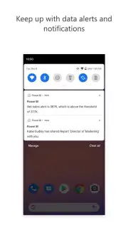 Microsoft Power BI screenshot 5
