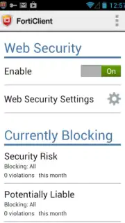 FortiClient screenshot 8