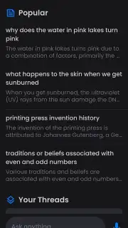 Perplexity screenshot 7