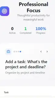 ToDo list profesinal screenshot 2