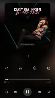 Mi Music screenshot 13