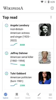 Wikipedia screenshot 1