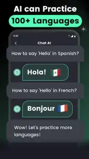 AI Chat screenshot 16