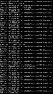 Termux screenshot 1