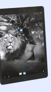 Android 13 Launcher screenshot 12