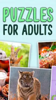 Puzzles without Internet screenshot 9