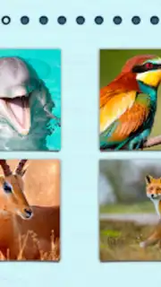 Puzzles without Internet screenshot 3