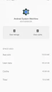 Android System WebView screenshot 12