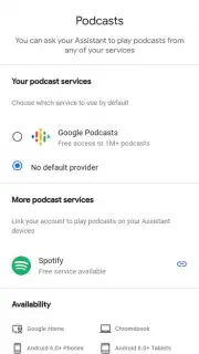 Google Home screenshot 2