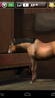 My Horse screenshot 4