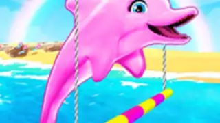 My Dolphin Show