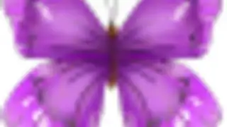 Butterfly Flower for DoodleTex