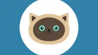 Vita Browser